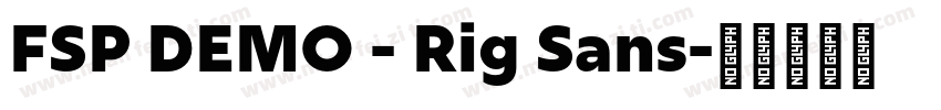 FSP DEMO - Rig Sans字体转换